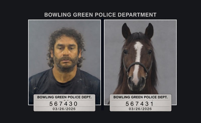 Kentucky Man and Horse Arrested for Horseback DUI