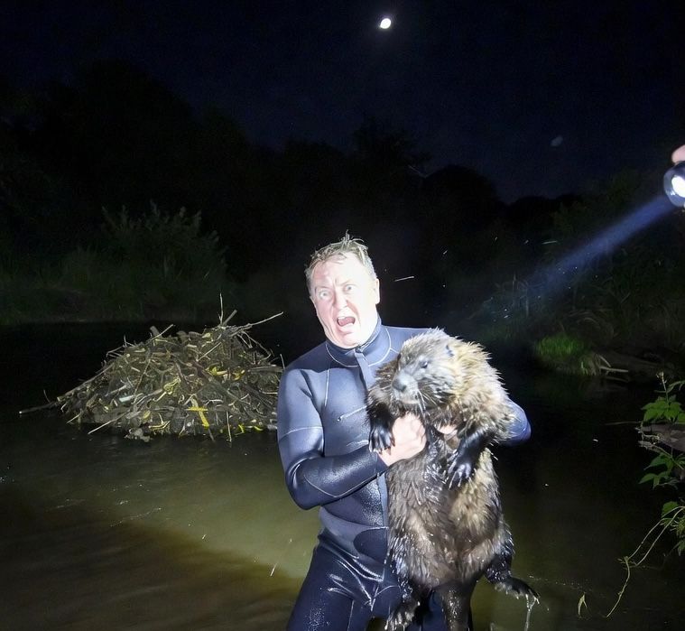 Councilman Arrested for “Petting Beaver," Faces Restraining Order