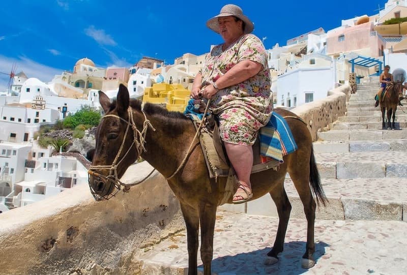 Bigger Asses – An Ancient Solution to a Modern Problem